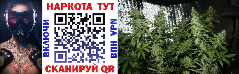 Купить закладку Амфетамин  A-PVP  ГАШИШ  БУТИРАТ  Псилоцибиновые грибы  Кокаин  Мефедрон  Алзамай