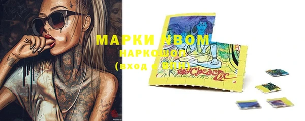 индика Верхний Тагил