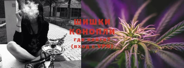 индика Верхний Тагил