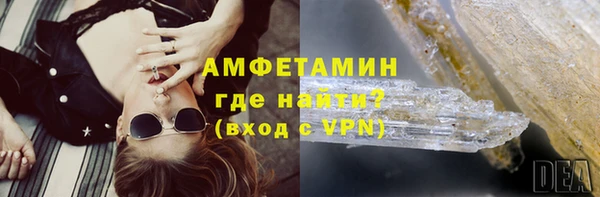 индика Верхний Тагил