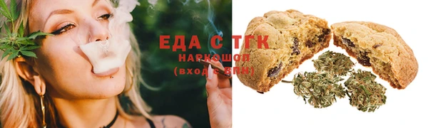индика Верхний Тагил