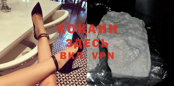индика Верхний Тагил