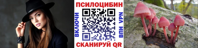 Псилоцибиновые грибы Magic Shrooms  Купить где  Алзамай 